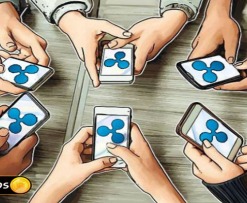 ripple usage